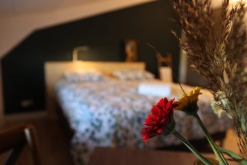 IMG_9764 IMG_9764